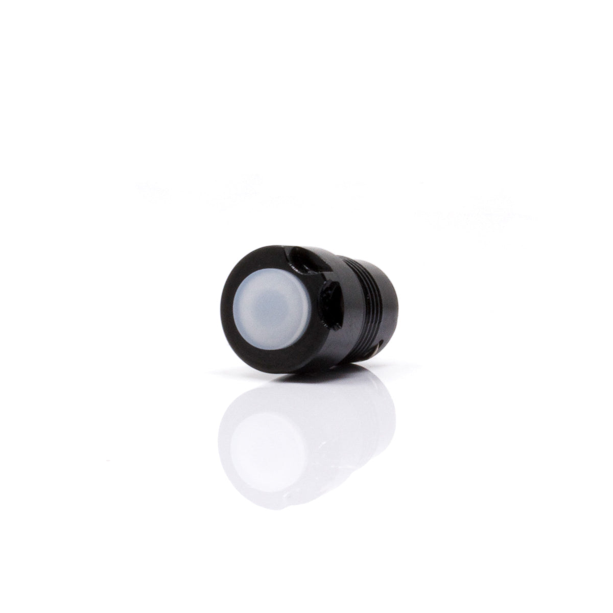 2AAA Tail Cap Switch