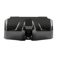 RPM Carbon Fiber Kawasaki H2 Seat Belt Covers (2pc)