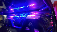 Interior Whip