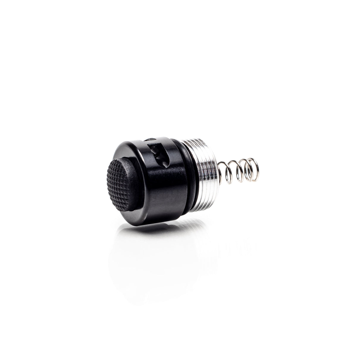 2AA Tail Cap Switch