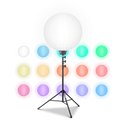 RGB 100 Watt Color Changing LED Balloon Light Kit