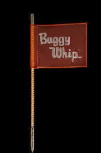 Buggy whip LED whips increased visibility