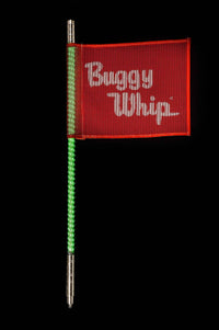 Buggy whip LED whips increased visibility