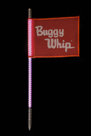 Buggy whip LED whips increased visibility