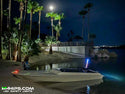 4FT T2 LED STERN WHIP