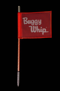 Buggy whip LED whips increased visibility