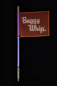 Buggy whip LED whips increased visibility